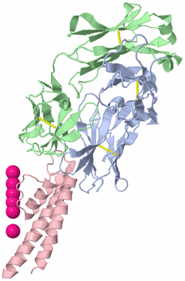 Image Biological Unit 2