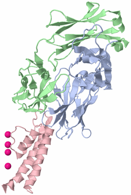 Image Biological Unit 2