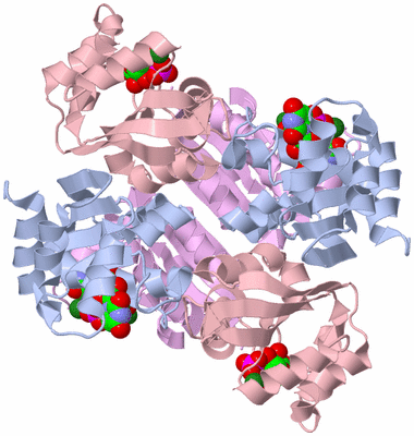 Image Biological Unit 1