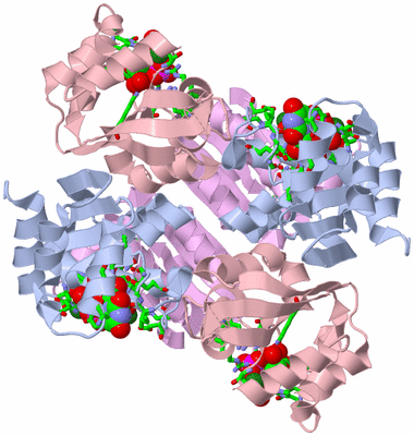 Image Biol. Unit 1 - sites