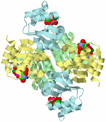 Image Biological Unit 2