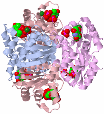 Image Biological Unit 1