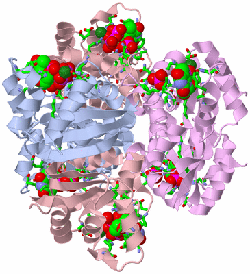 Image Biol. Unit 1 - sites