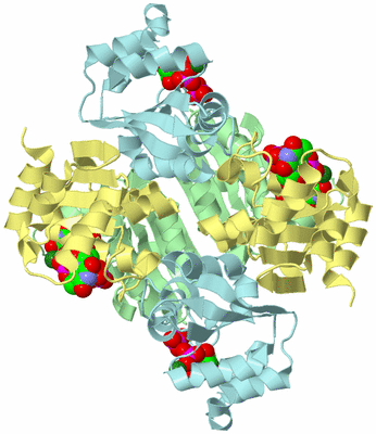 Image Biological Unit 2