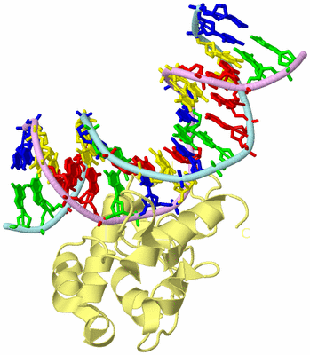 Image Biological Unit 2