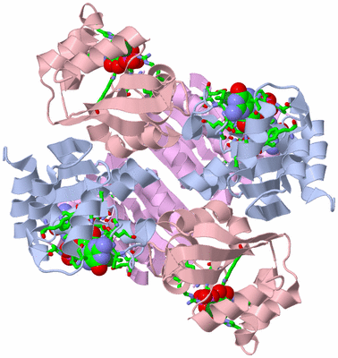 Image Biol. Unit 1 - sites