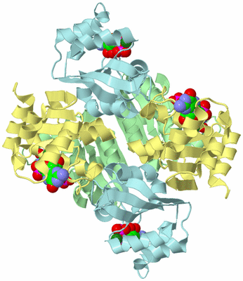 Image Biological Unit 2