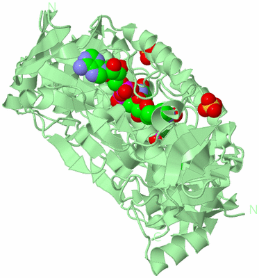 Image Biological Unit 2