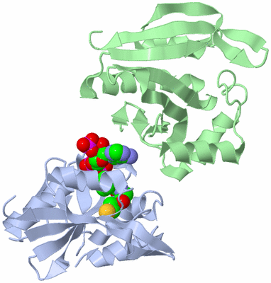 Image Biological Unit 2