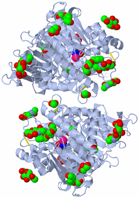 Image Biological Unit 1