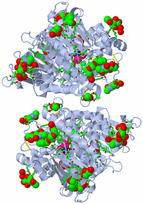 Image Biol. Unit 1 - sites