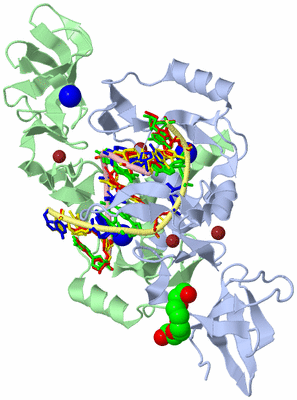 Image Asym./Biol. Unit