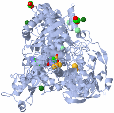 Image Biological Unit 1