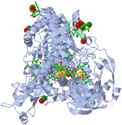 Image Biol. Unit 1 - sites