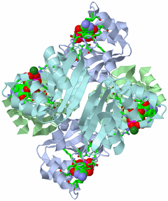 Image Biol. Unit 1 - sites