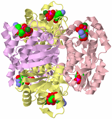 Image Biological Unit 2