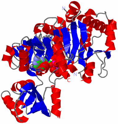 Image Asym./Biol. Unit