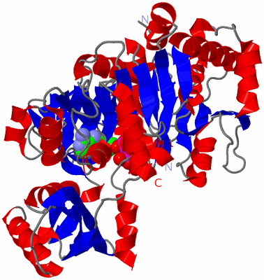 Image Asym./Biol. Unit