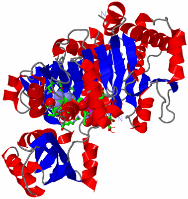 Image Asym./Biol. Unit - sites