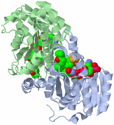 Image Asym./Biol. Unit