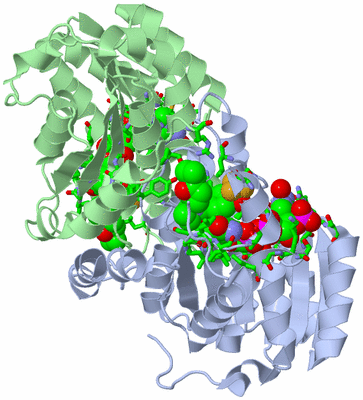 Image Asym./Biol. Unit - sites