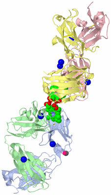 Image Biological Unit 1