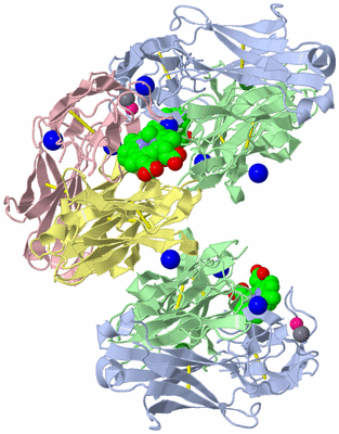 Image Biological Unit 2