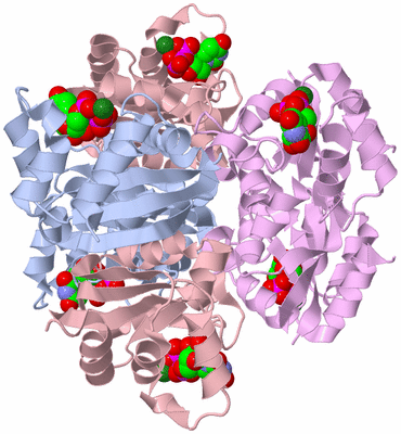 Image Biological Unit 1