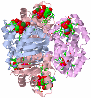 Image Biol. Unit 1 - sites