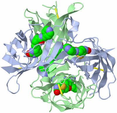 Image Biological Unit 1