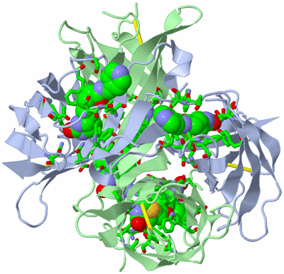 Image Biol. Unit 1 - sites