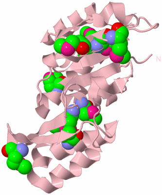 Image Biological Unit 3