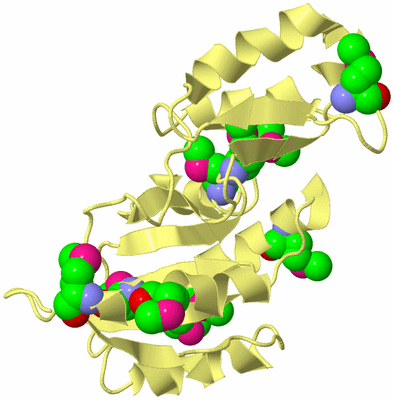 Image Biological Unit 4