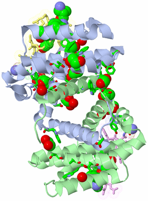 Image Biol. Unit 1 - sites