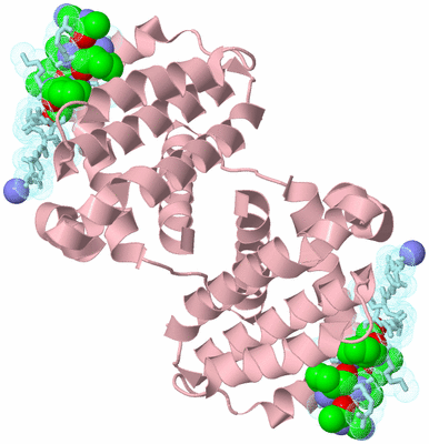 Image Biological Unit 2