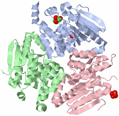 Image Biological Unit 1