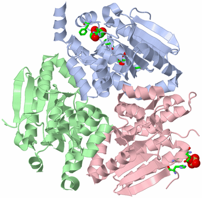 Image Biol. Unit 1 - sites