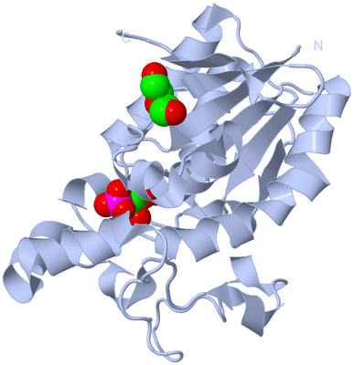 Image Biological Unit 2