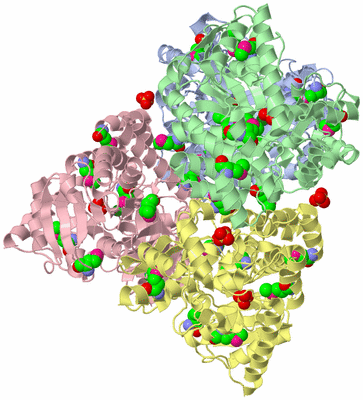 Image Biological Unit 1