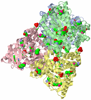 Image Biol. Unit 1 - sites