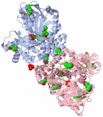 Image Biological Unit 2