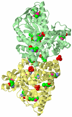 Image Biological Unit 3