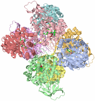 Image Biol. Unit 1 - sites