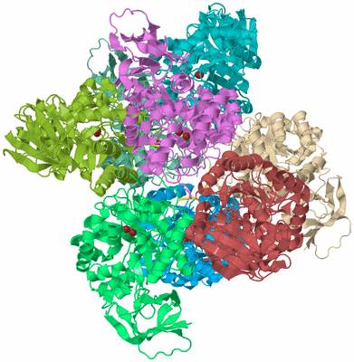 Image Biological Unit 2