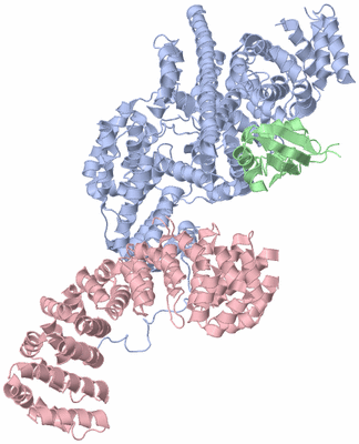 Image Biological Unit 1