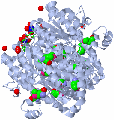 Image Biol. Unit 1 - sites