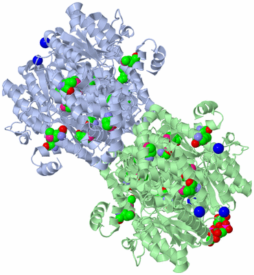 Image Biological Unit 2