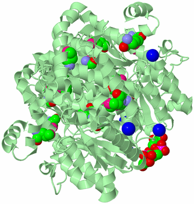 Image Biological Unit 3