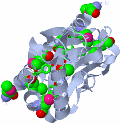 Image Biol. Unit 1 - sites