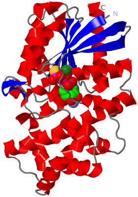 Image Asym./Biol. Unit